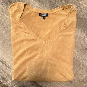 Express Golden V-Neck Sweater
